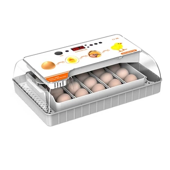 20 vnt Kiaušinių inkubatorius Buitinis automatinis inkubatorius Ūkis Vištienos paukščių inkubatorius JAV kištukas