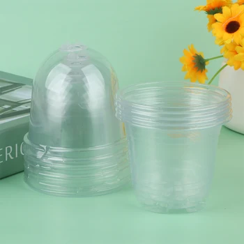 5Pcs Augalų darželio puodas Skaidrus plastikinis PET sėklų valstybinis puodelis su dangteliu Drėgmės kupolo dėklas Persodinimo sėjamosios konteineriai