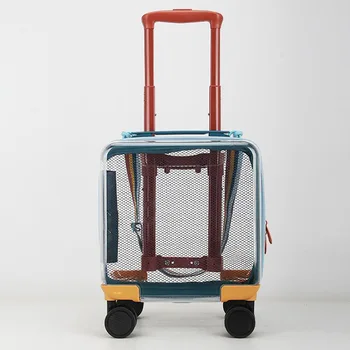 Skaidrus 14 colių vaikiškas bagažas su virviniu lagaminu Universalus ratas 20 colių maletas